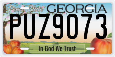 GA license plate PUZ9073