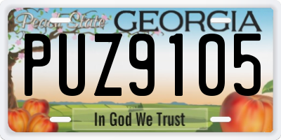 GA license plate PUZ9105