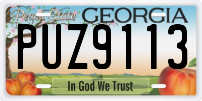 GA license plate PUZ9113