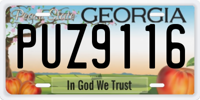 GA license plate PUZ9116