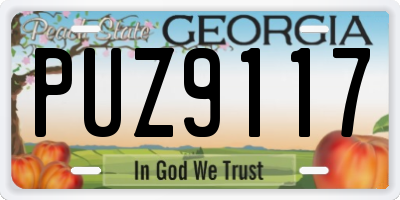 GA license plate PUZ9117