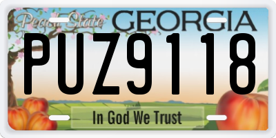 GA license plate PUZ9118