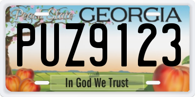 GA license plate PUZ9123