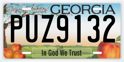 GA license plate PUZ9132