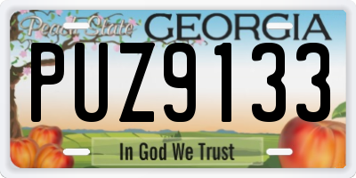 GA license plate PUZ9133