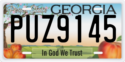 GA license plate PUZ9145