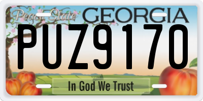 GA license plate PUZ9170