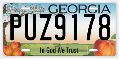 GA license plate PUZ9178
