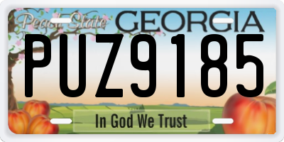 GA license plate PUZ9185