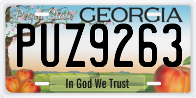 GA license plate PUZ9263