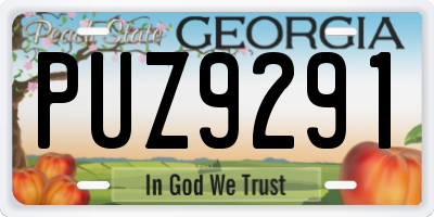 GA license plate PUZ9291