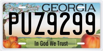 GA license plate PUZ9299