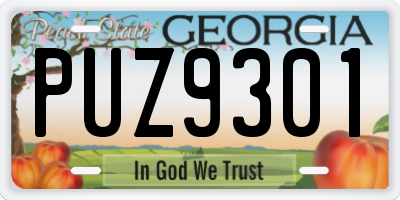 GA license plate PUZ9301