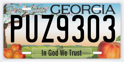 GA license plate PUZ9303