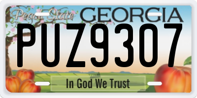 GA license plate PUZ9307