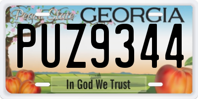GA license plate PUZ9344