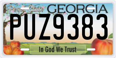 GA license plate PUZ9383