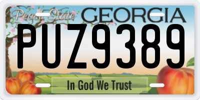GA license plate PUZ9389