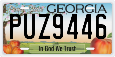 GA license plate PUZ9446