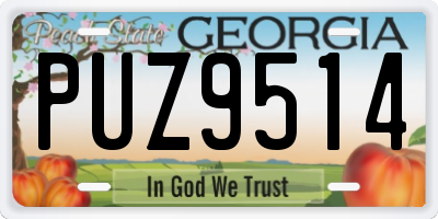 GA license plate PUZ9514