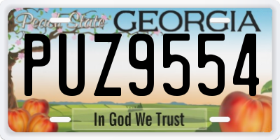 GA license plate PUZ9554