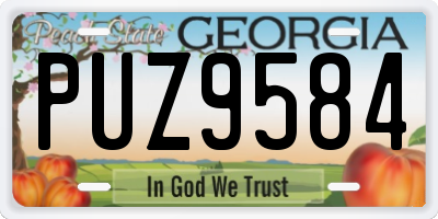GA license plate PUZ9584