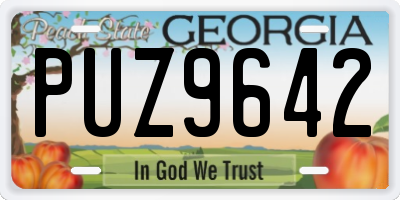 GA license plate PUZ9642