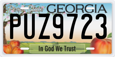GA license plate PUZ9723