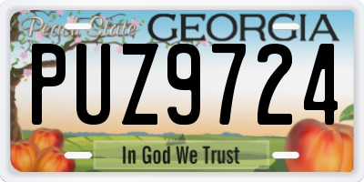 GA license plate PUZ9724