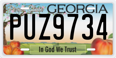 GA license plate PUZ9734