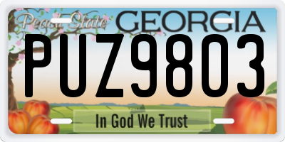 GA license plate PUZ9803