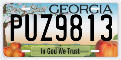 GA license plate PUZ9813