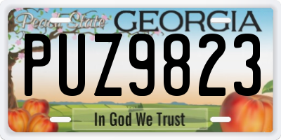 GA license plate PUZ9823