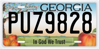 GA license plate PUZ9828