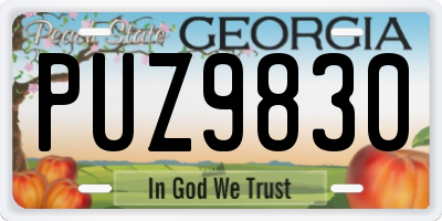 GA license plate PUZ9830