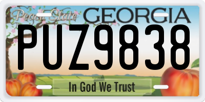 GA license plate PUZ9838