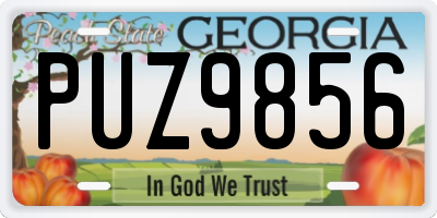 GA license plate PUZ9856
