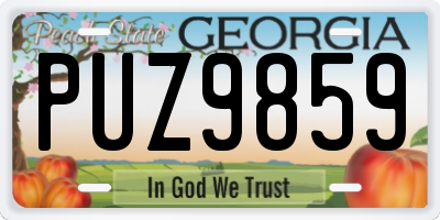 GA license plate PUZ9859