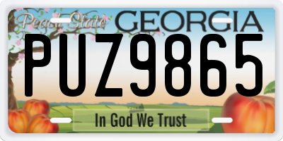 GA license plate PUZ9865