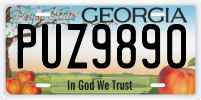 GA license plate PUZ9890
