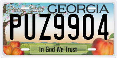 GA license plate PUZ9904
