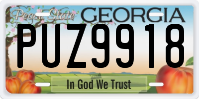 GA license plate PUZ9918