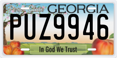 GA license plate PUZ9946