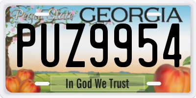 GA license plate PUZ9954