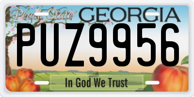GA license plate PUZ9956
