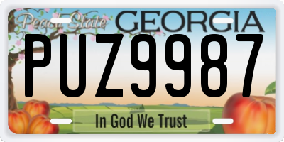 GA license plate PUZ9987