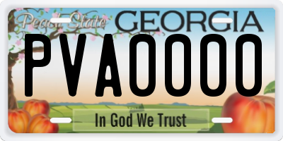 GA license plate PVA0000
