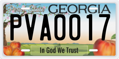 GA license plate PVA0017