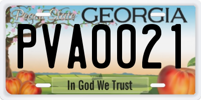 GA license plate PVA0021
