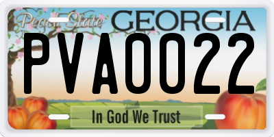GA license plate PVA0022